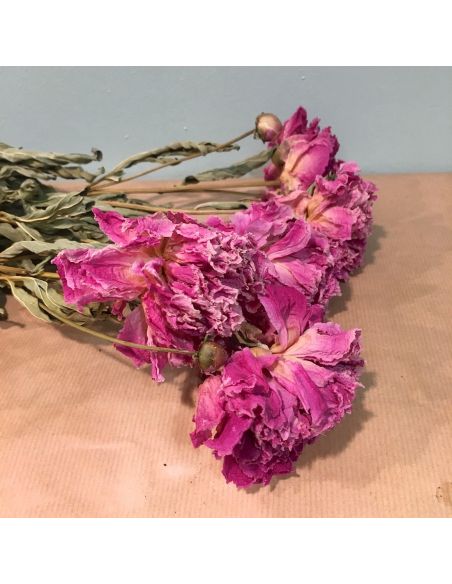bouquet de pivoines roses