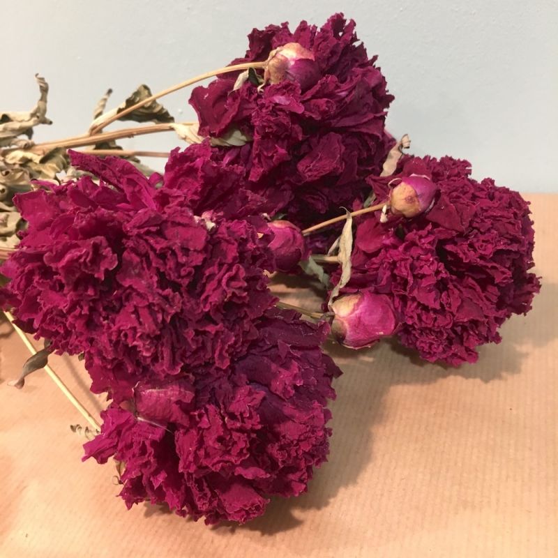 bouquet de pivoines rouges