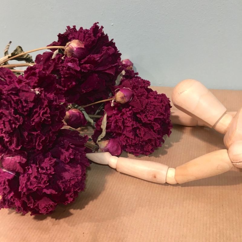 bouquet de pivoines rouges 2