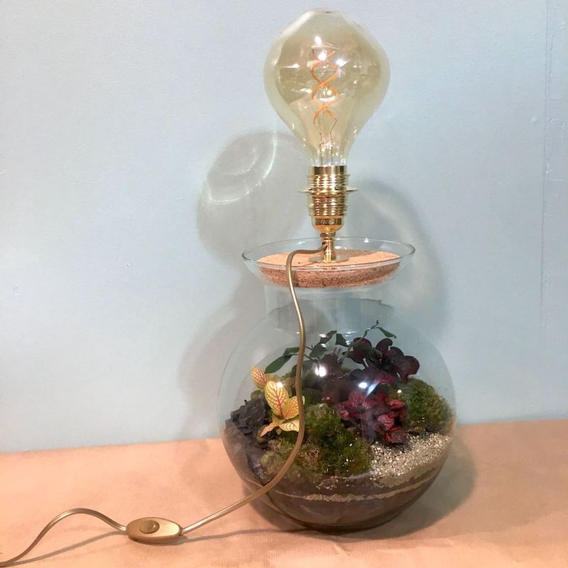 terrarium lampe 2