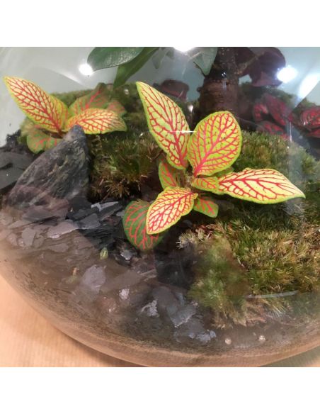 terrarium lampe