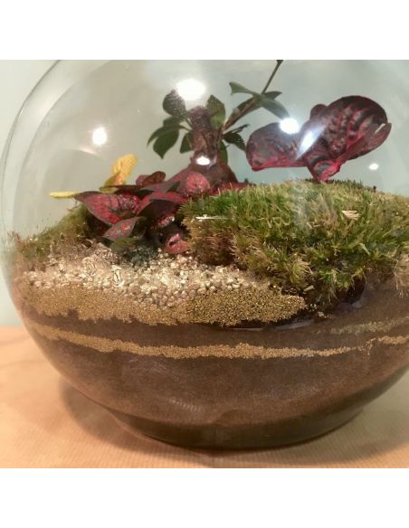 terrarium lampe